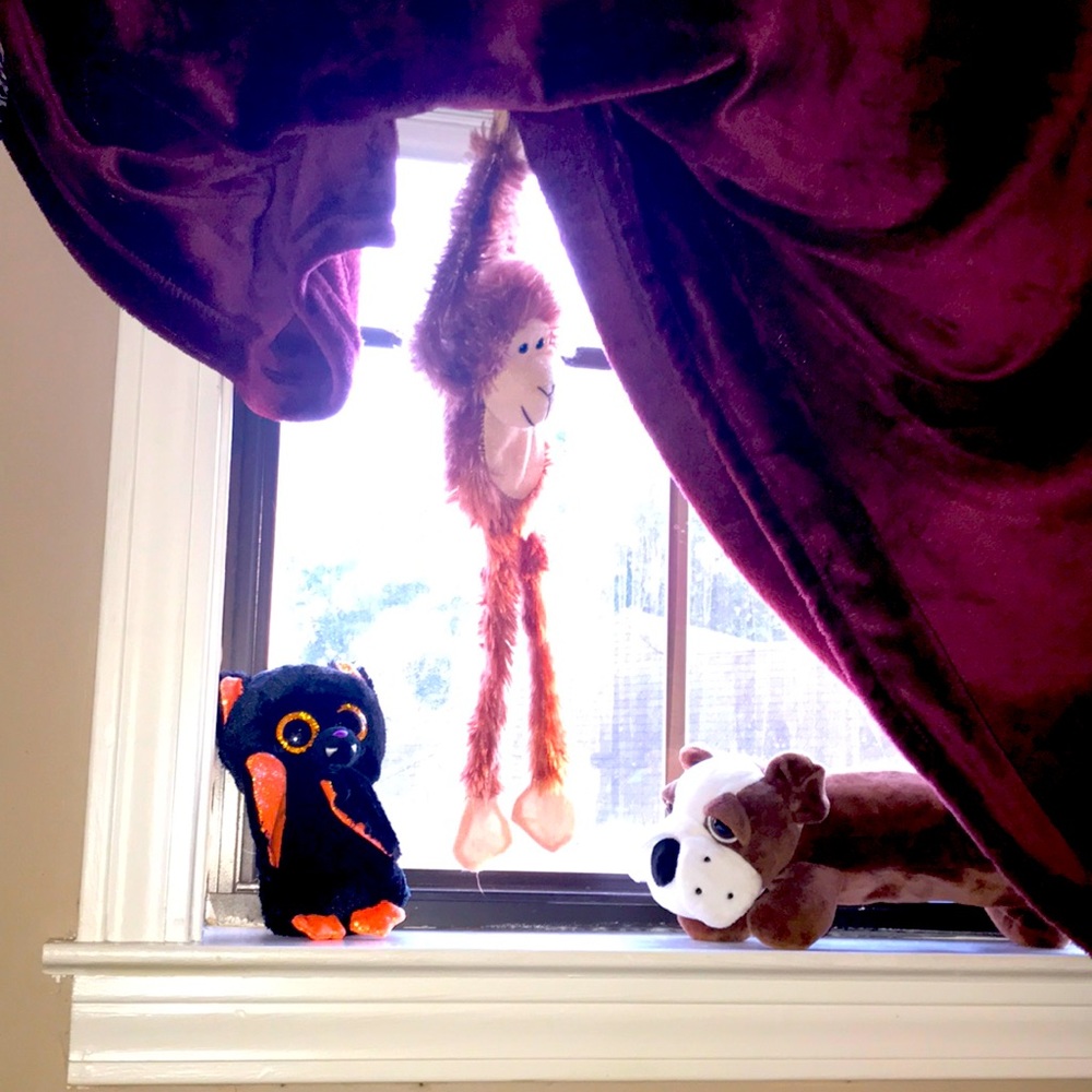 3 Stuffed animals Bat, Monkey, Bull dog, Limted time Intill November 5th